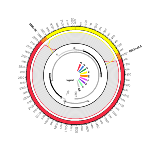 AF297620